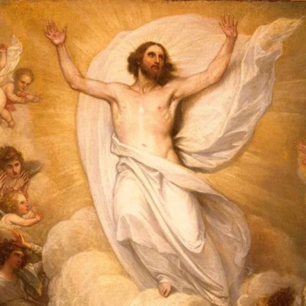 Meet your Posher, Dom